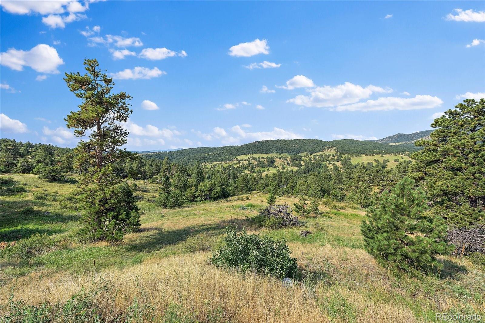 MLS Image #12 for 6496  crawford gulch road,golden, Colorado