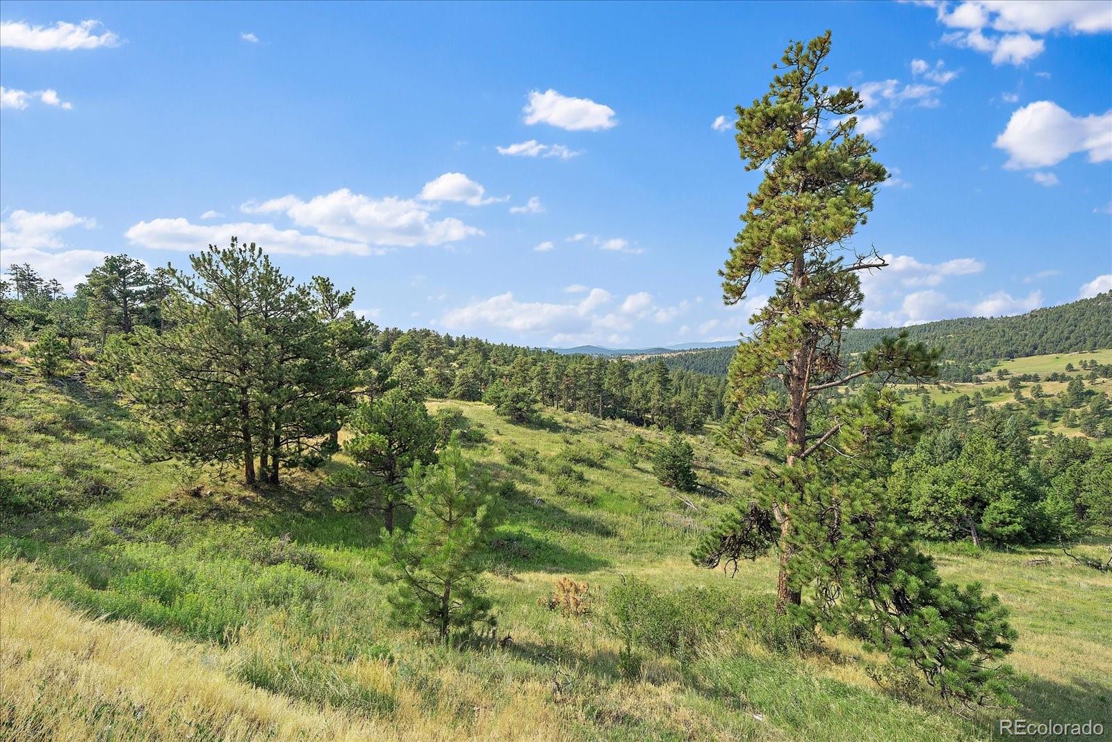 MLS Image #13 for 6496  crawford gulch road,golden, Colorado