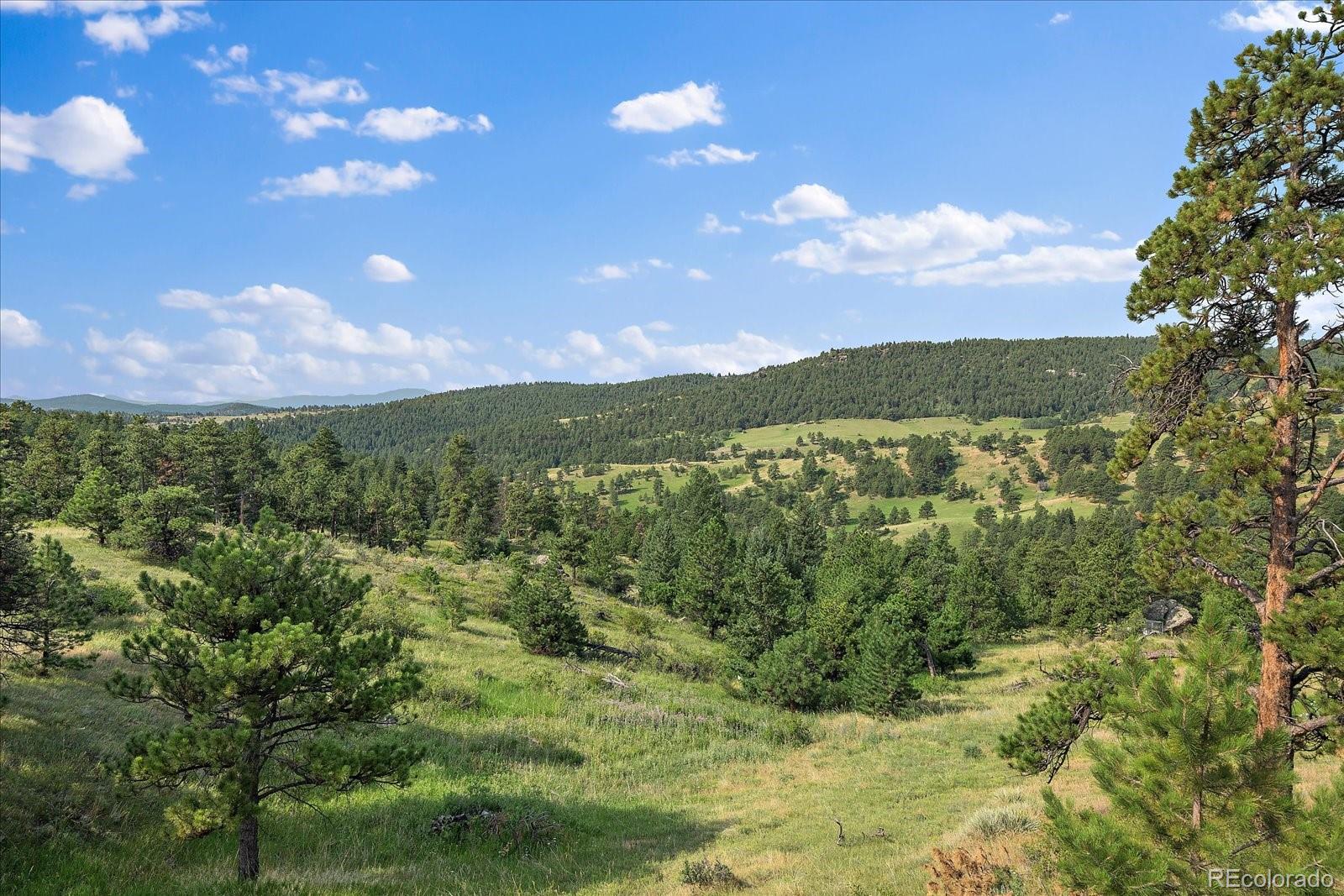 MLS Image #39 for 6496  crawford gulch road,golden, Colorado