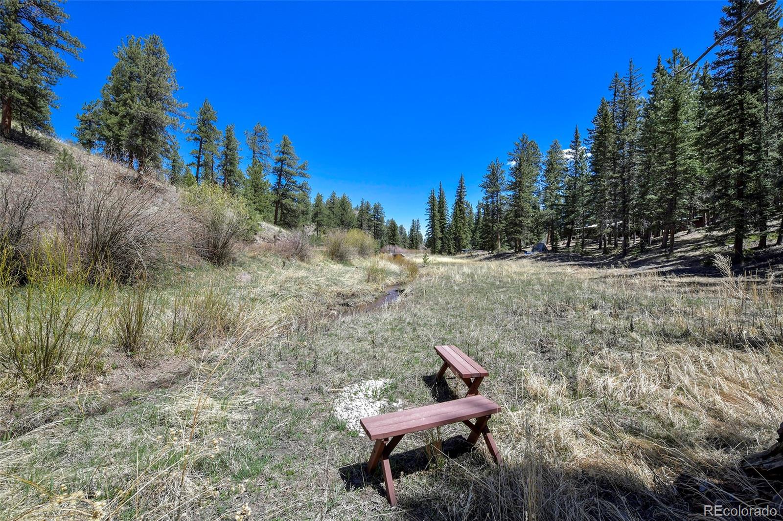 MLS Image #14 for 10350  trail creek road,divide, Colorado