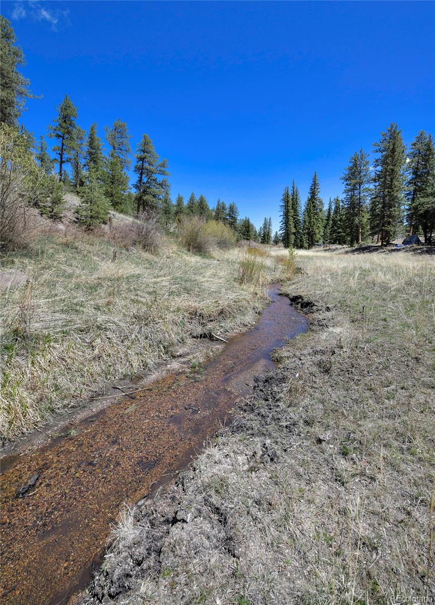 MLS Image #15 for 10350  trail creek road,divide, Colorado