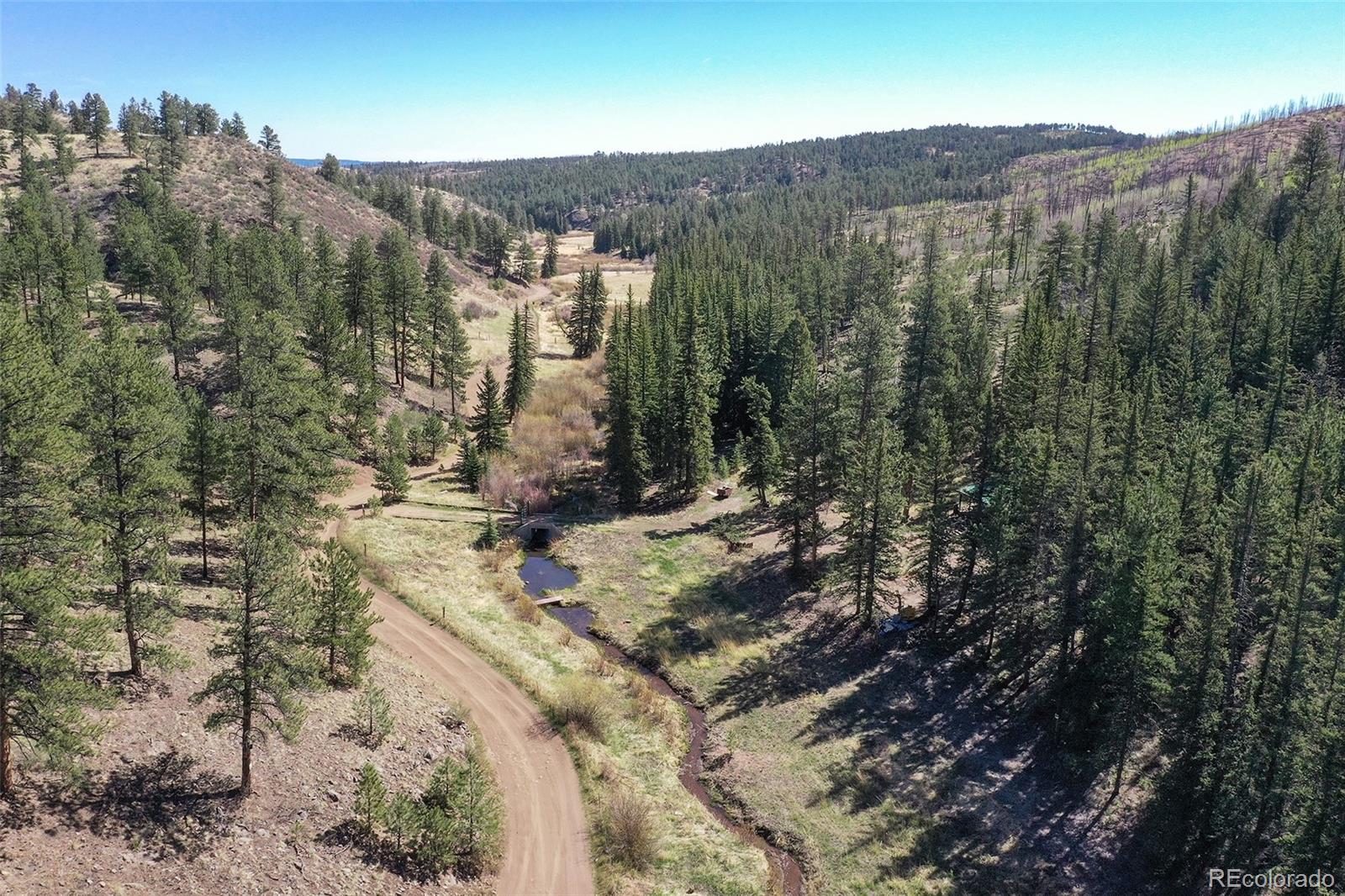 MLS Image #18 for 10350  trail creek road,divide, Colorado