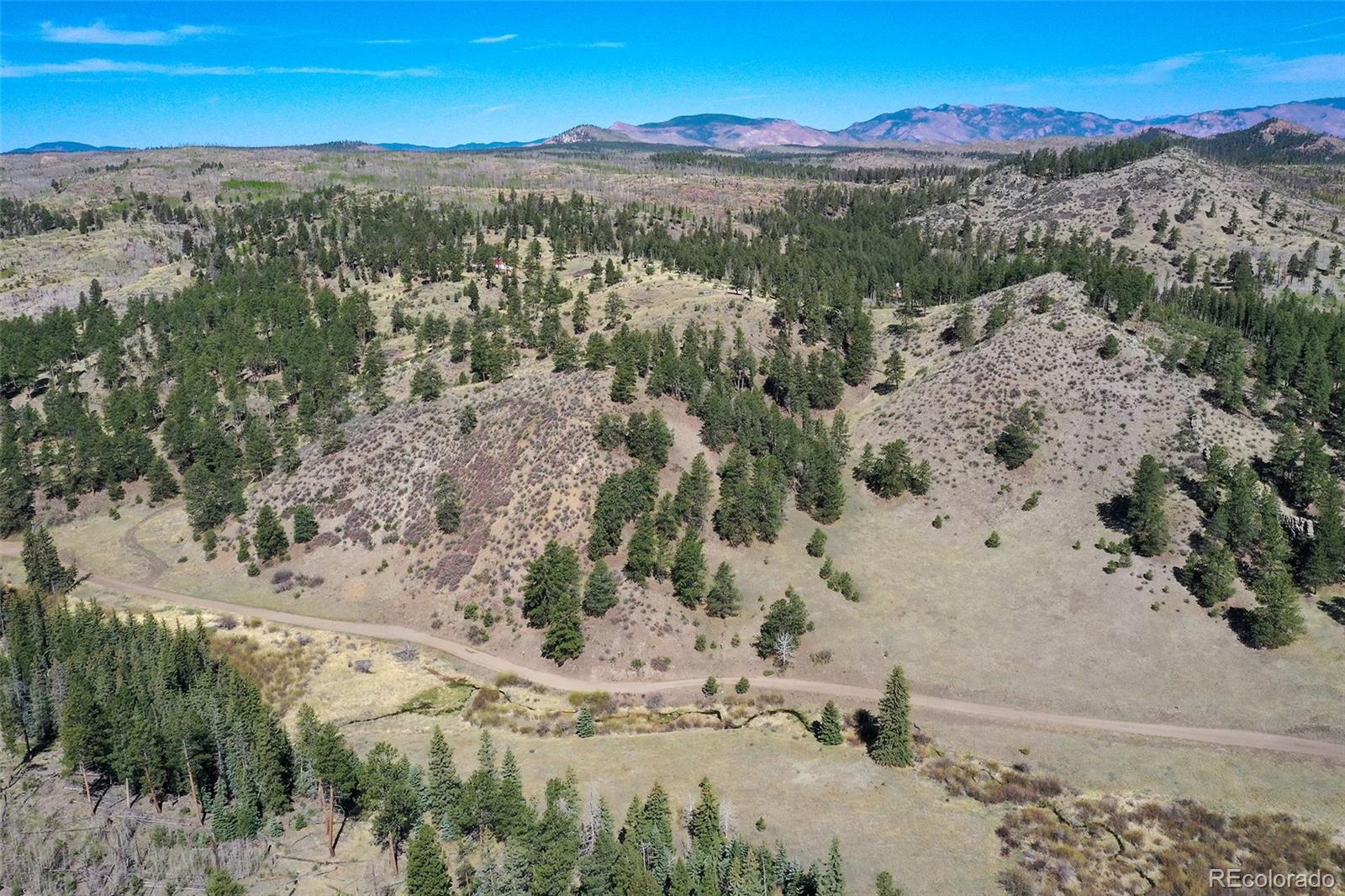 MLS Image #19 for 10350  trail creek road,divide, Colorado