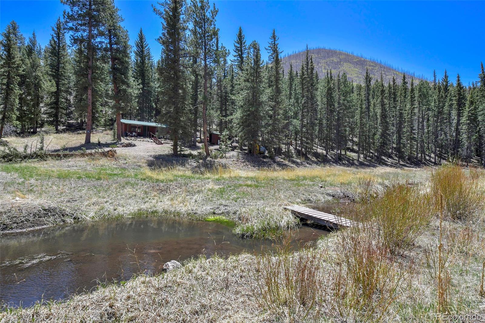 MLS Image #2 for 10350  trail creek road,divide, Colorado