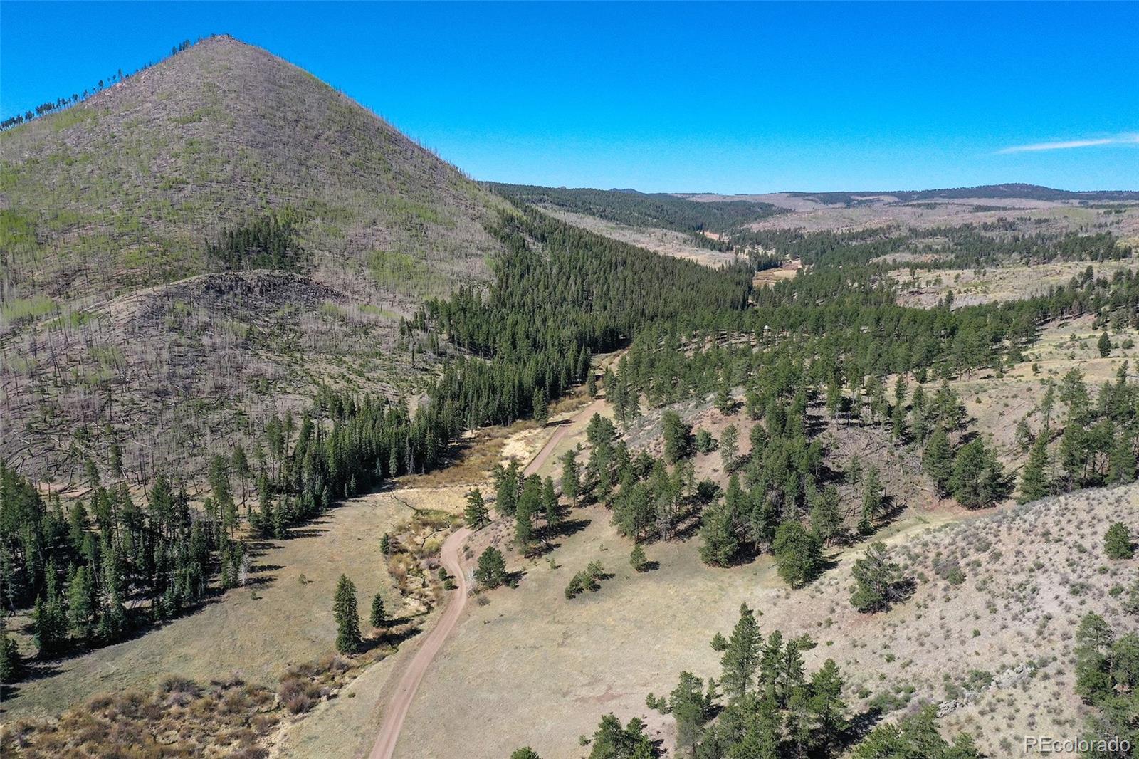 MLS Image #20 for 10350  trail creek road,divide, Colorado