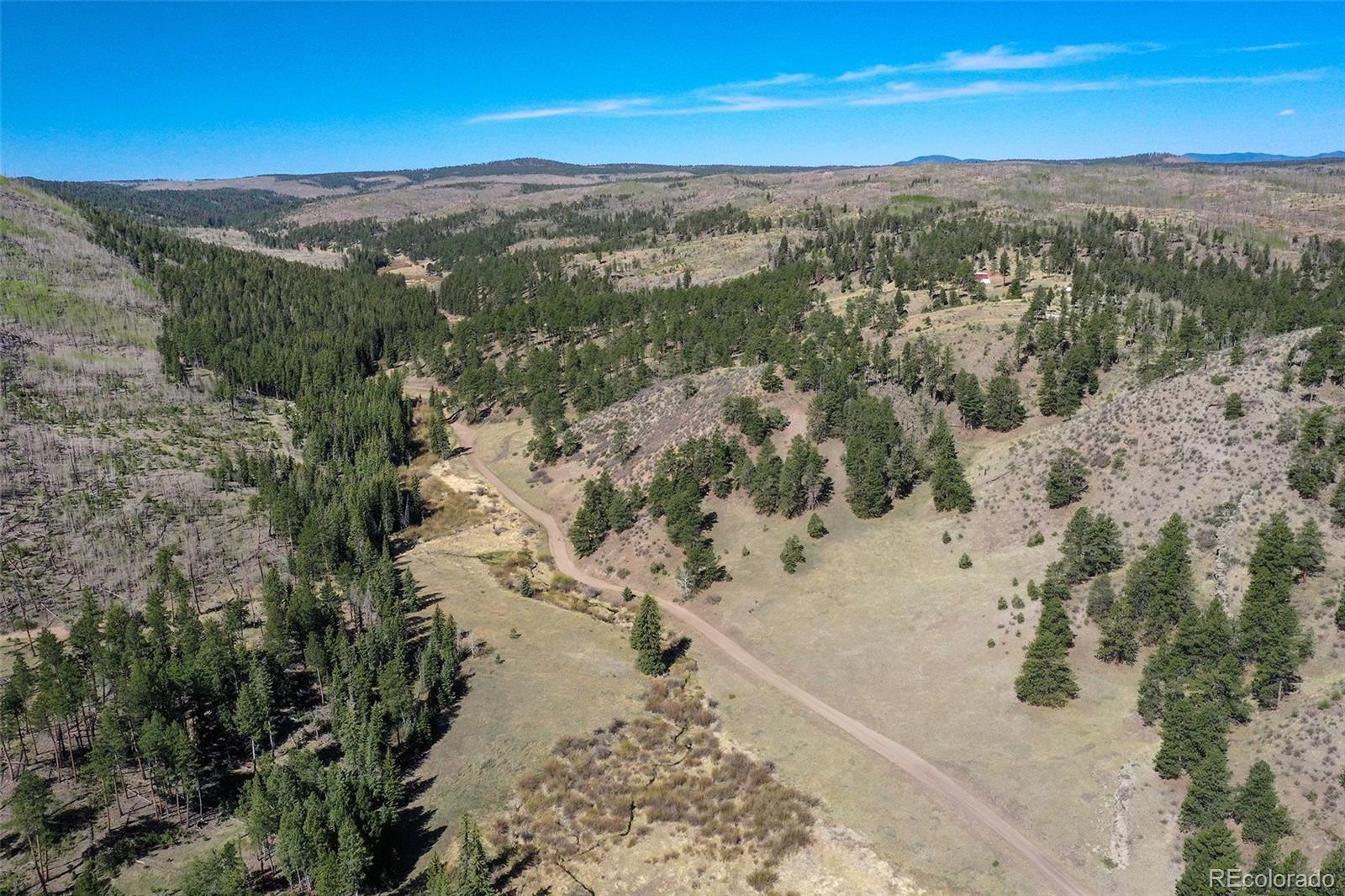 MLS Image #22 for 10350  trail creek road,divide, Colorado