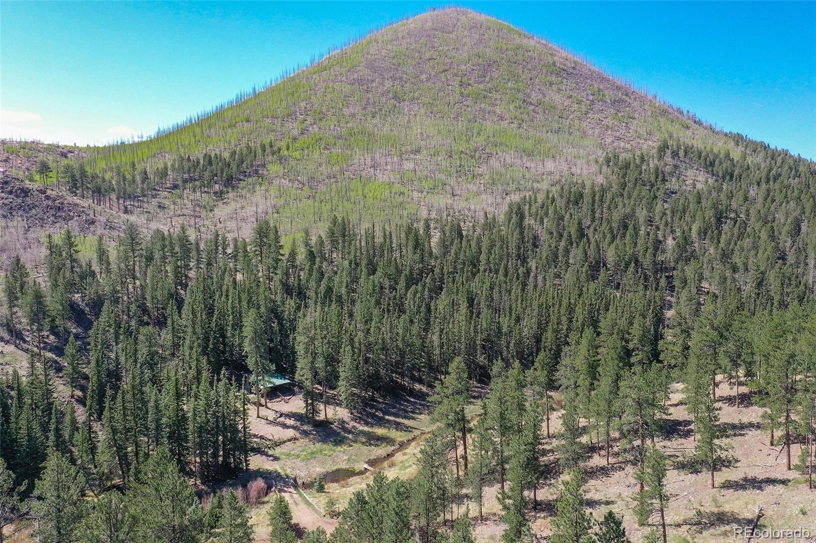 MLS Image #23 for 10350  trail creek road,divide, Colorado