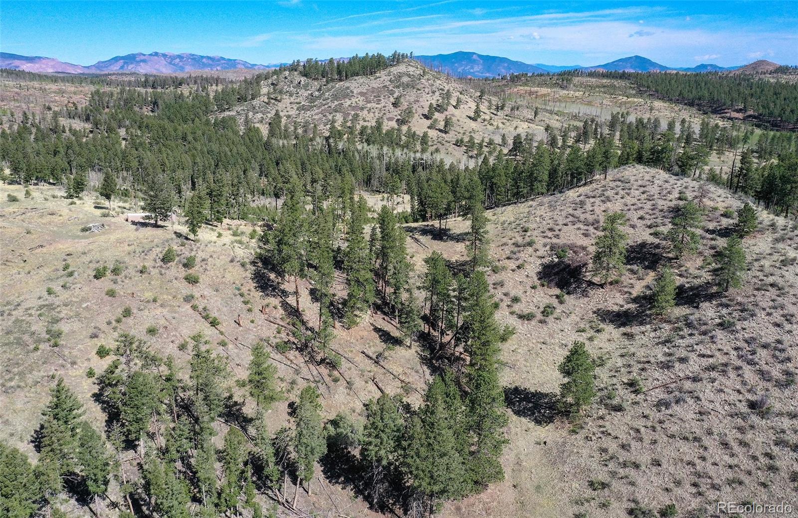 MLS Image #24 for 10350  trail creek road,divide, Colorado