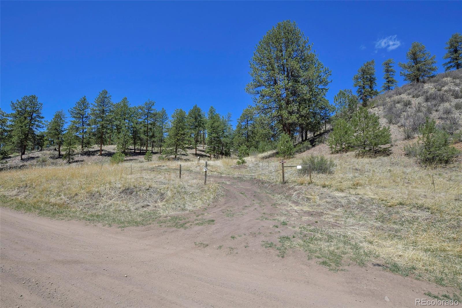 MLS Image #26 for 10350  trail creek road,divide, Colorado