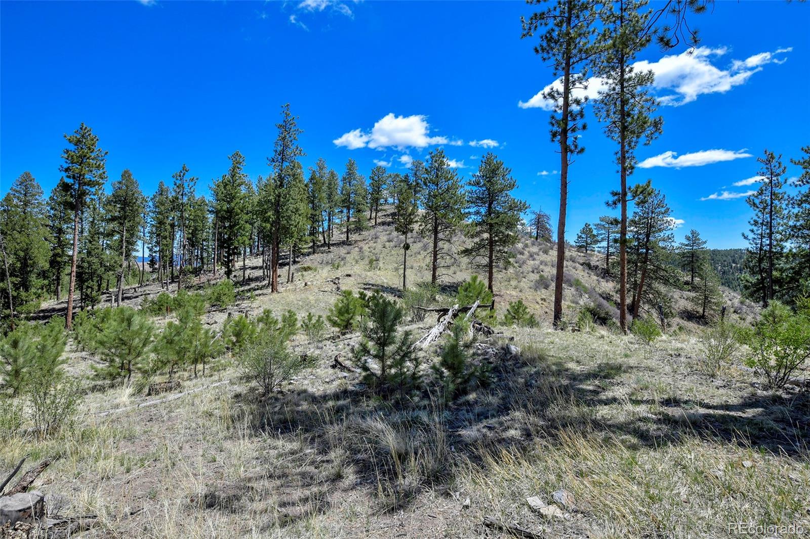 MLS Image #27 for 10350  trail creek road,divide, Colorado