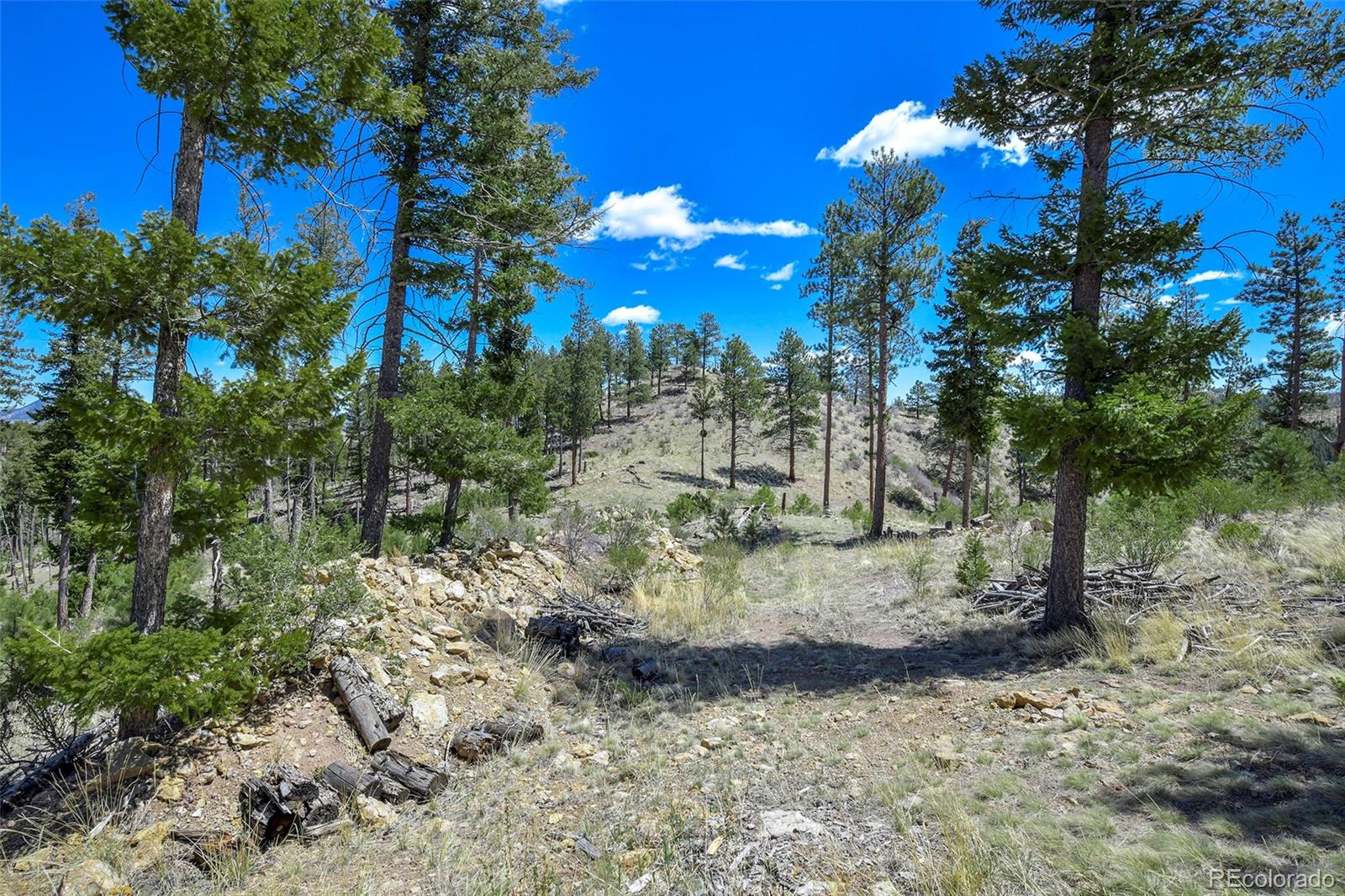 MLS Image #28 for 10350  trail creek road,divide, Colorado