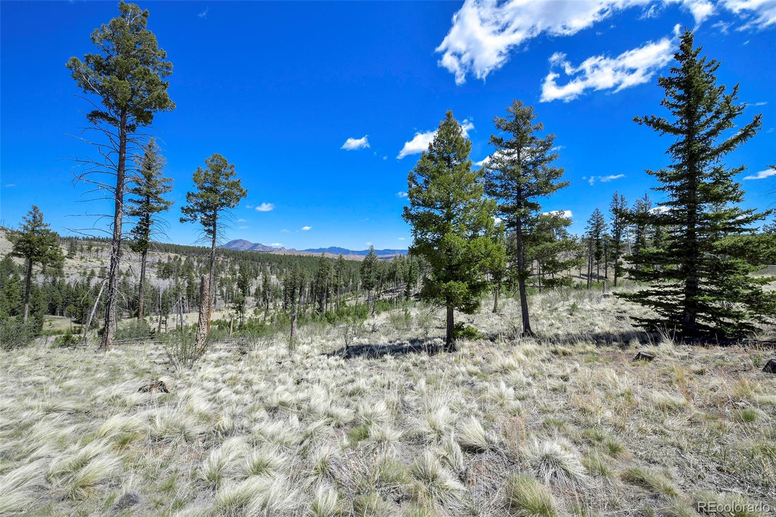 MLS Image #29 for 10350  trail creek road,divide, Colorado