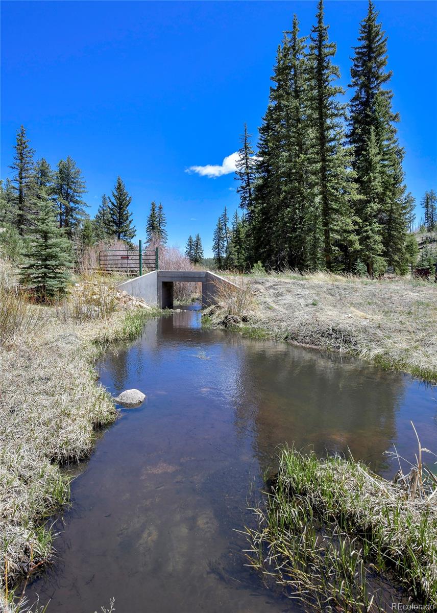 MLS Image #3 for 10350  trail creek road,divide, Colorado