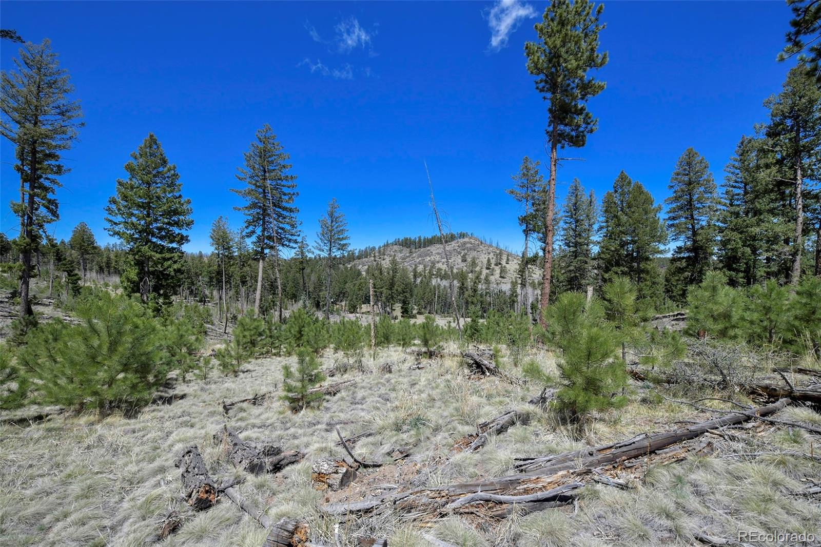 MLS Image #30 for 10350  trail creek road,divide, Colorado