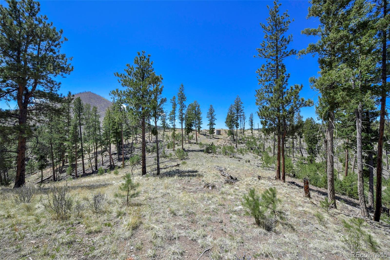 MLS Image #31 for 10350  trail creek road,divide, Colorado