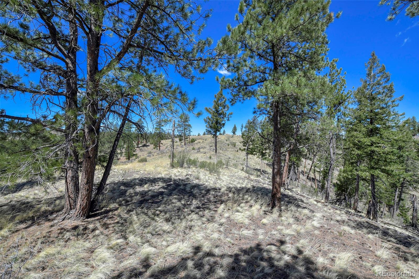 MLS Image #32 for 10350  trail creek road,divide, Colorado