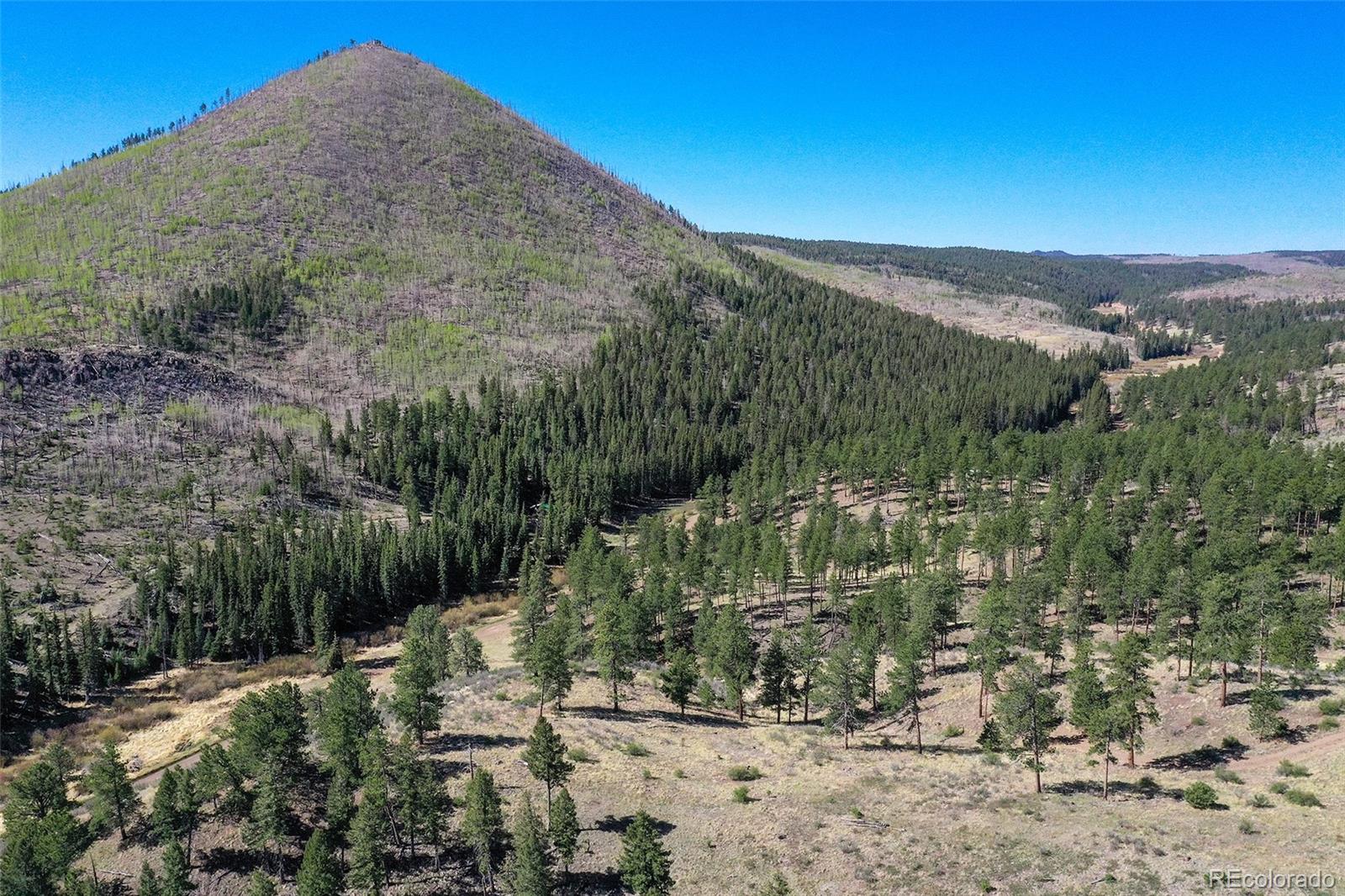 MLS Image #33 for 10350  trail creek road,divide, Colorado