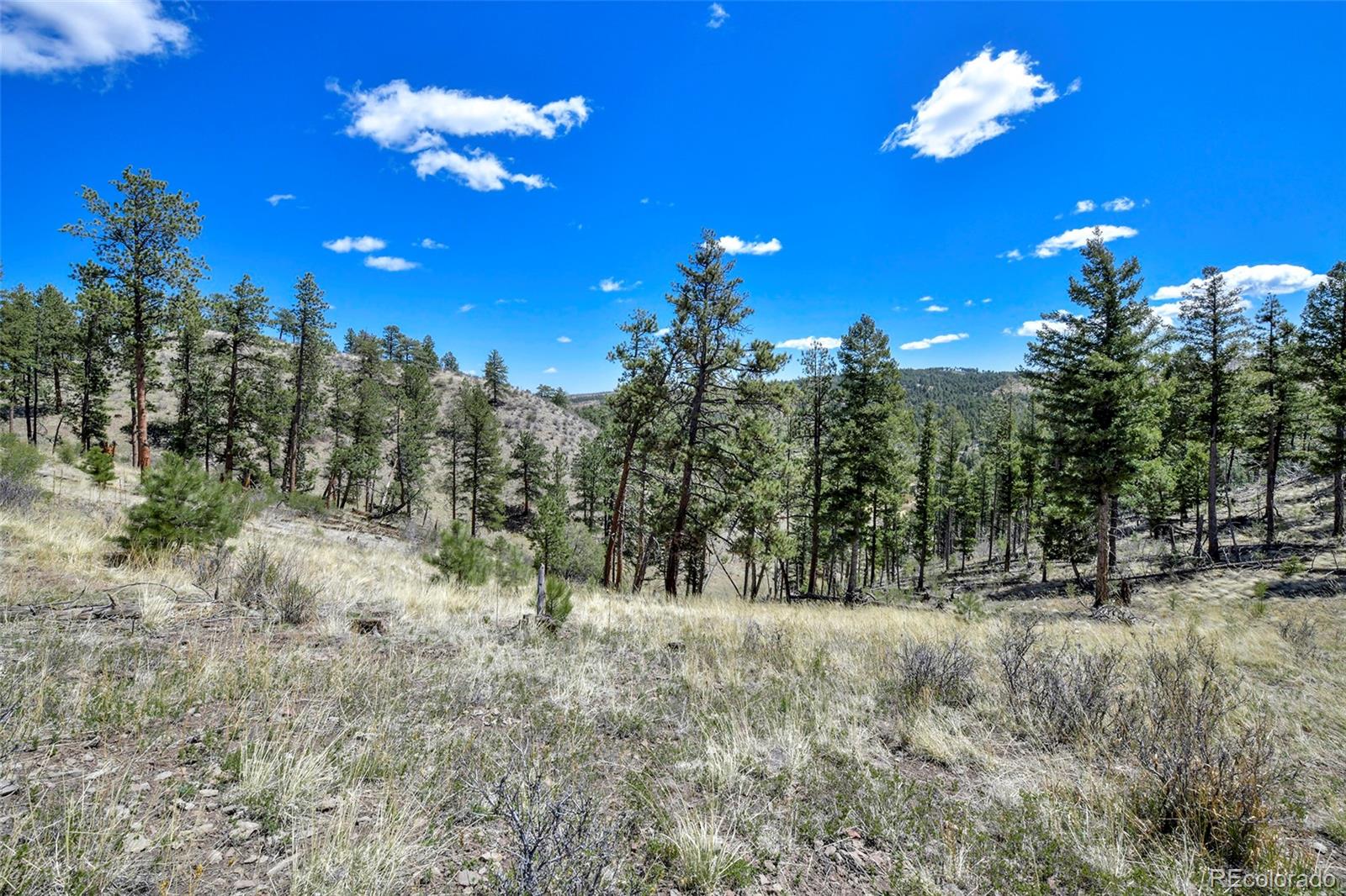 MLS Image #34 for 10350  trail creek road,divide, Colorado