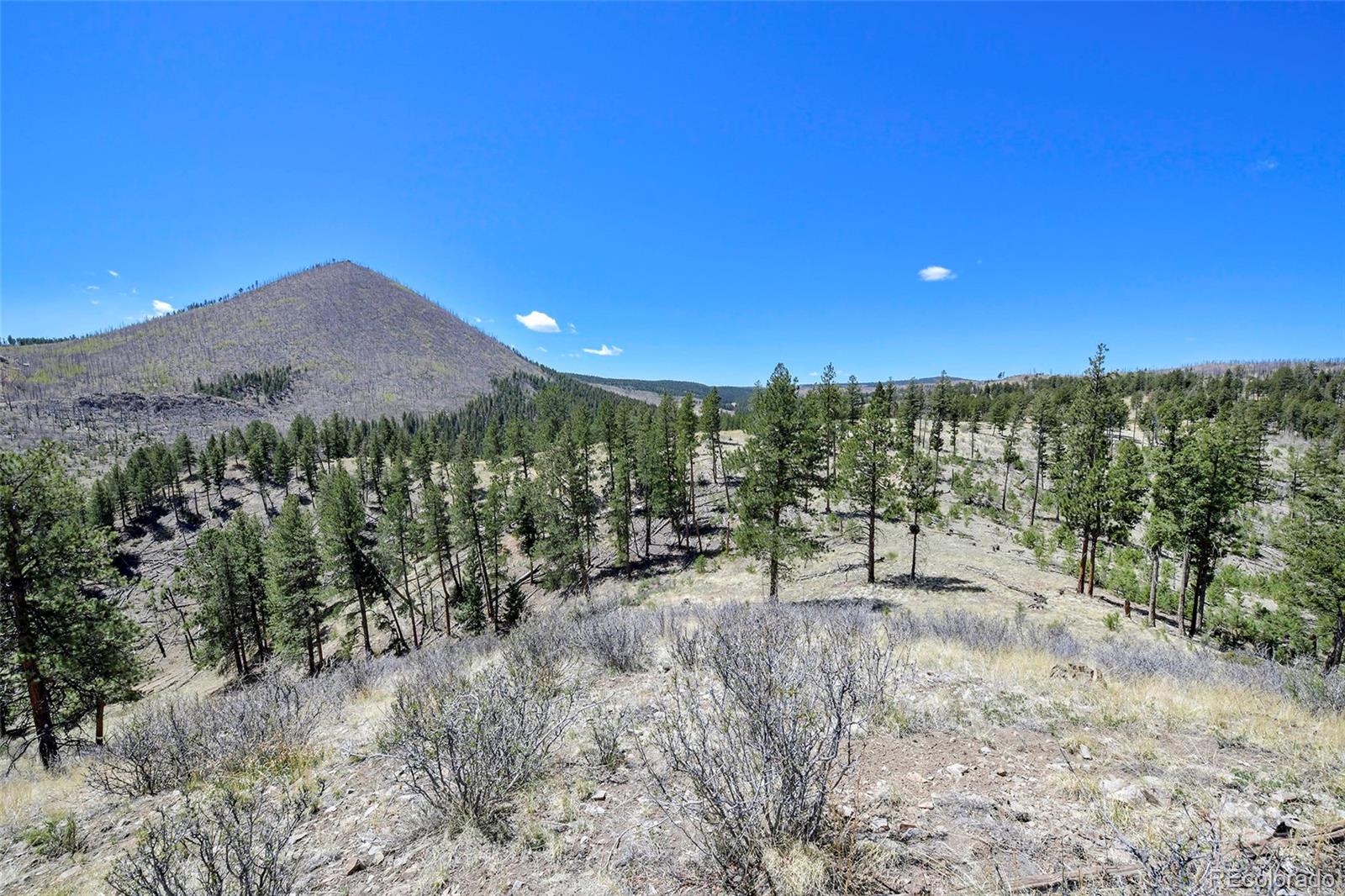 MLS Image #35 for 10350  trail creek road,divide, Colorado