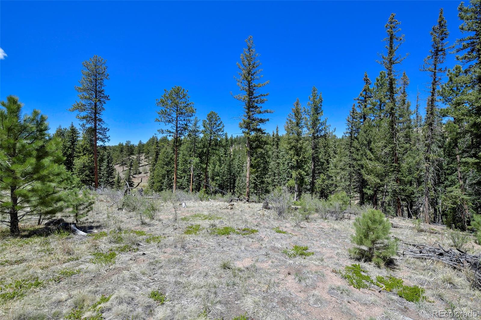 MLS Image #36 for 10350  trail creek road,divide, Colorado