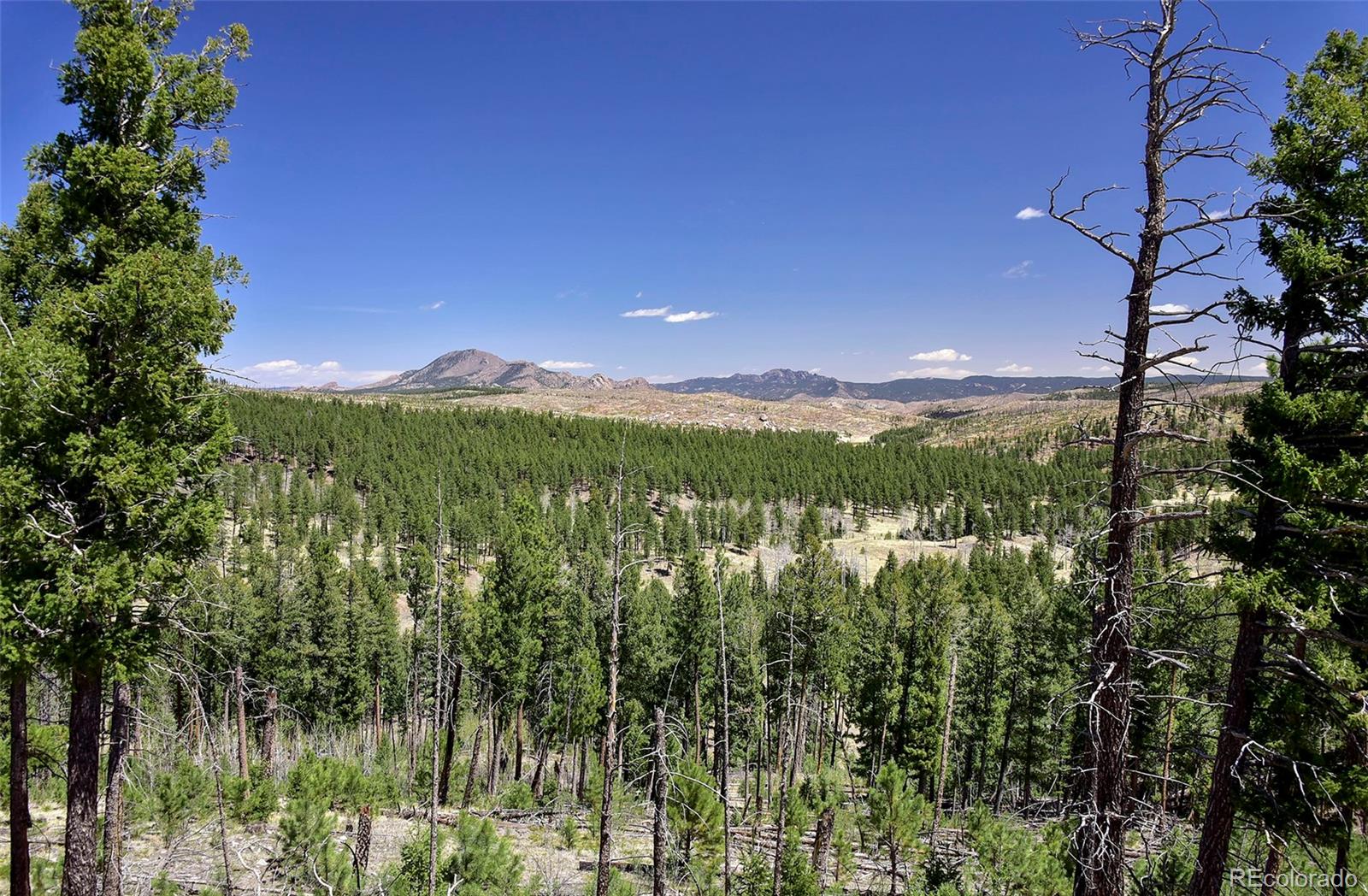 MLS Image #37 for 10350  trail creek road,divide, Colorado