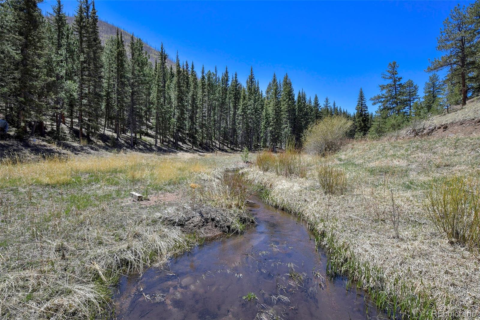 MLS Image #4 for 10350  trail creek road,divide, Colorado