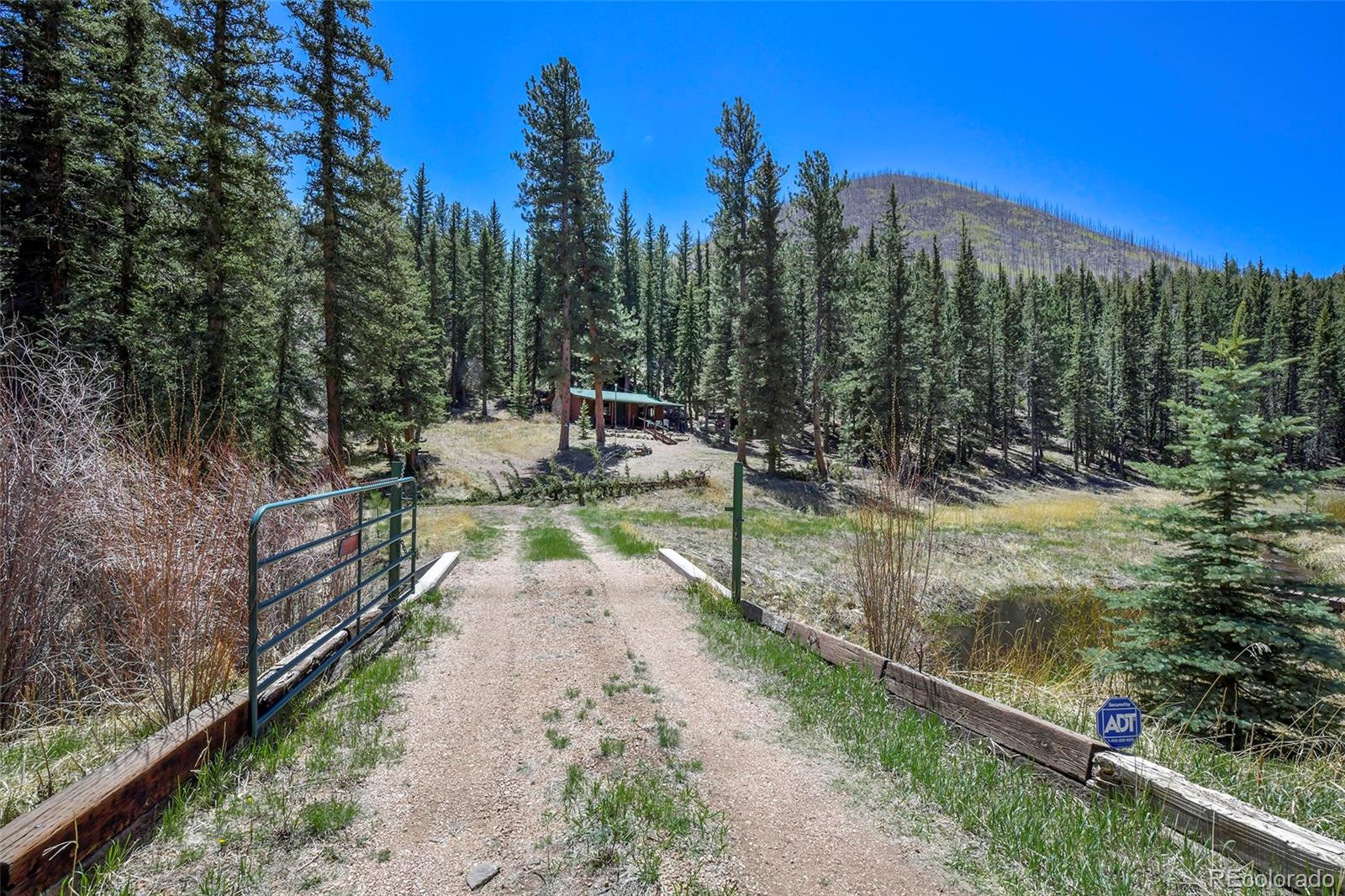 MLS Image #5 for 10350  trail creek road,divide, Colorado