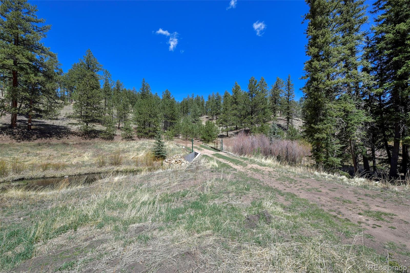 MLS Image #6 for 10350  trail creek road,divide, Colorado