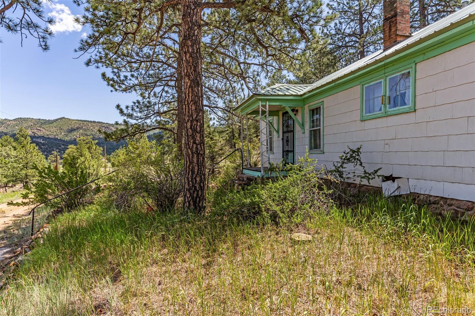 MLS Image #28 for 9091  county road 271 ,westcliffe, Colorado