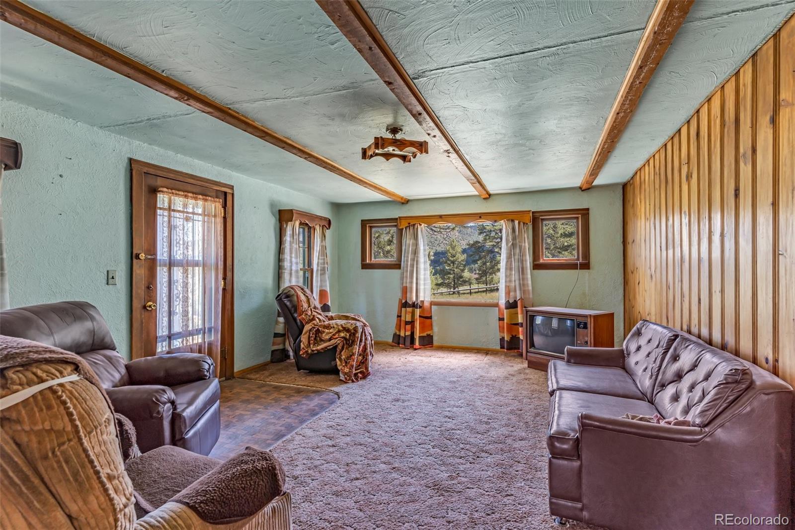 MLS Image #3 for 9091  county road 271 ,westcliffe, Colorado