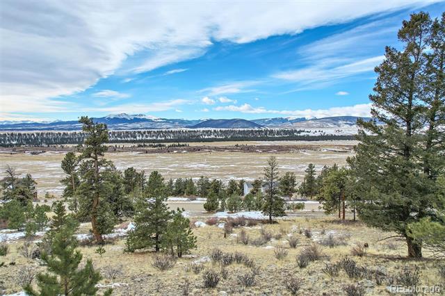 MLS Image #0 for 534  bonell drive,fairplay, Colorado