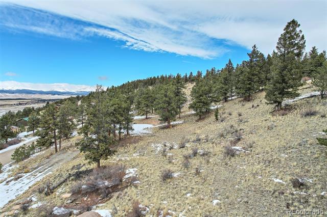 MLS Image #27 for 534  bonell drive,fairplay, Colorado