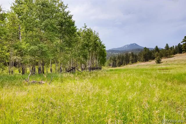 MLS Image #21 for 9770  hilldale drive,morrison, Colorado