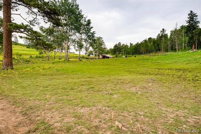 MLS Image #22 for 9770  hilldale drive,morrison, Colorado