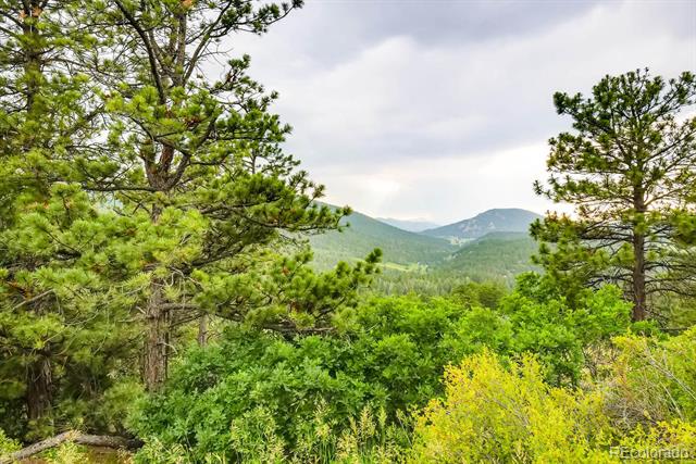 MLS Image #23 for 9770  hilldale drive,morrison, Colorado