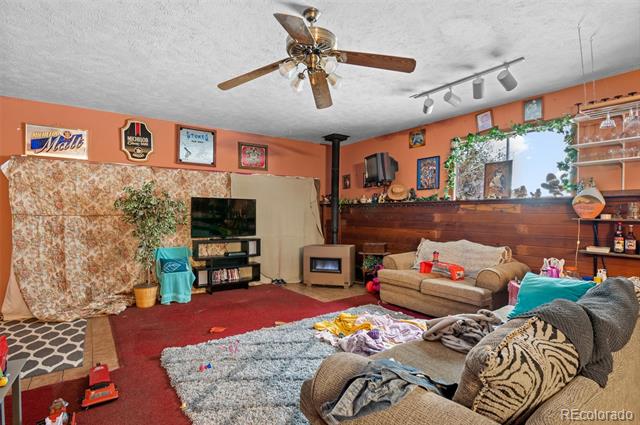 MLS Image #13 for 30438  sunset trail,pine, Colorado