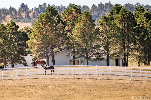 MLS Image #2 for 26794  maul road,kiowa, Colorado