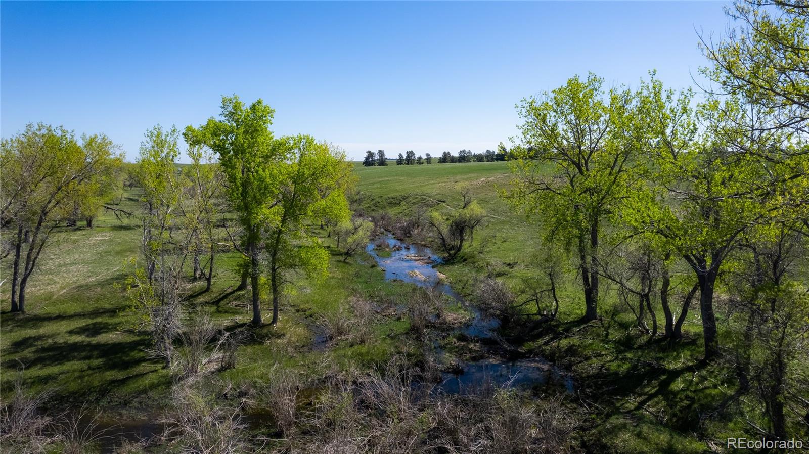 MLS Image #22 for 26794  maul road,kiowa, Colorado