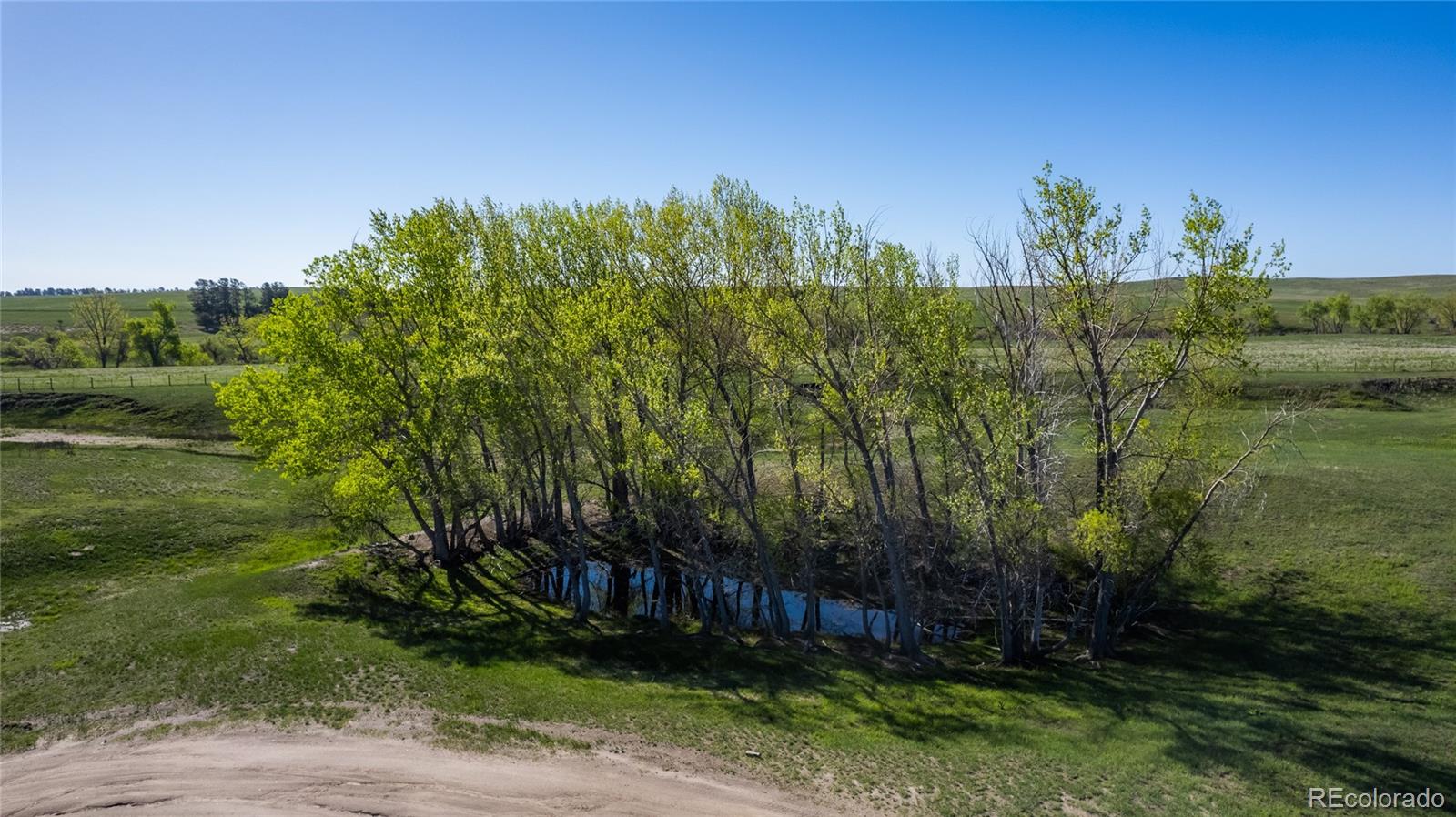 MLS Image #23 for 26794  maul road,kiowa, Colorado