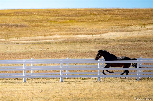 MLS Image #3 for 26794  maul road,kiowa, Colorado