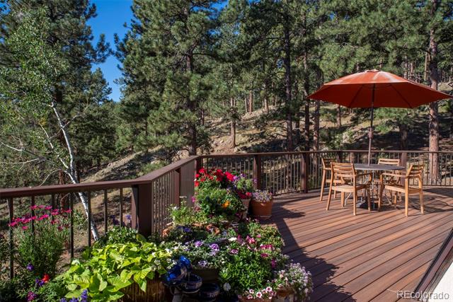 MLS Image #18 for 225  bristlecone way,boulder, Colorado