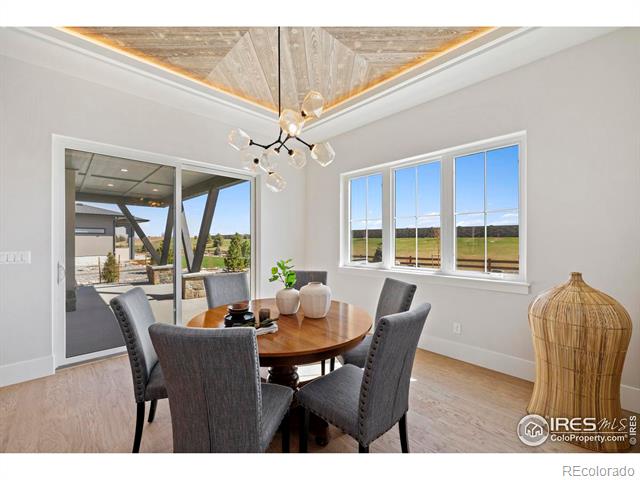 MLS Image #8 for 3758  tall grass court,timnath, Colorado