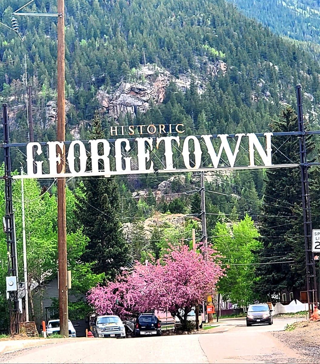 MLS Image #43 for 2018  flat iron ,georgetown, Colorado