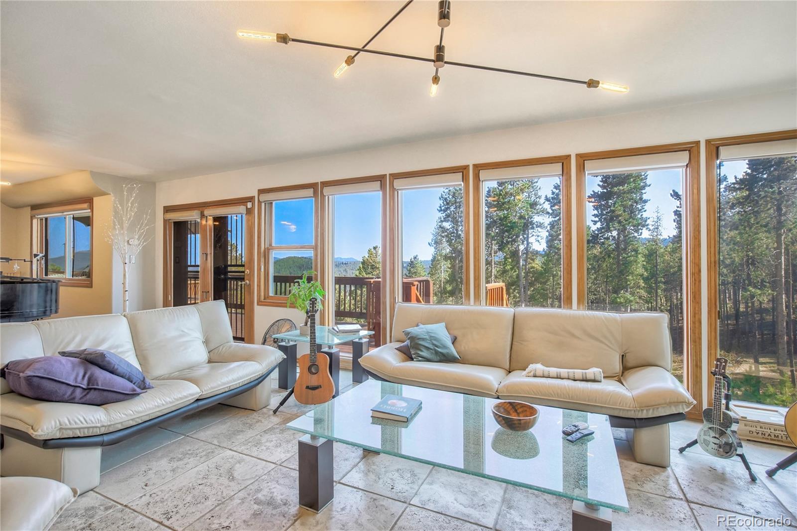 MLS Image #13 for 8641 s warhawk rd ,conifer, Colorado