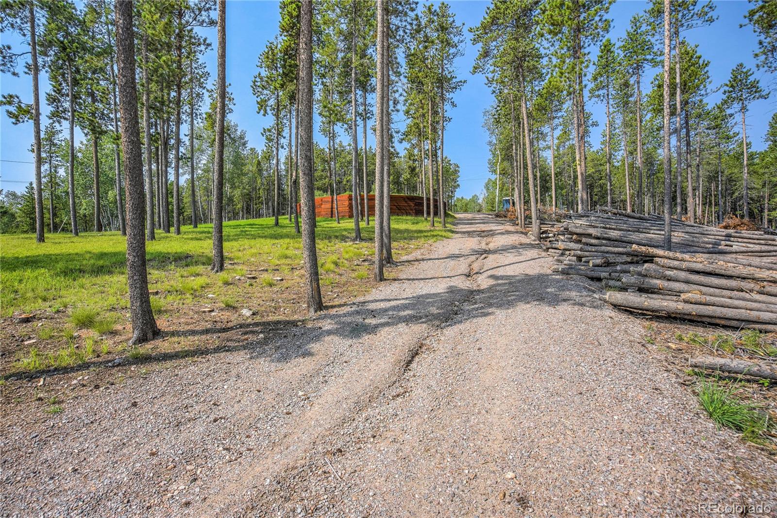 MLS Image #2 for 8641 s warhawk rd ,conifer, Colorado