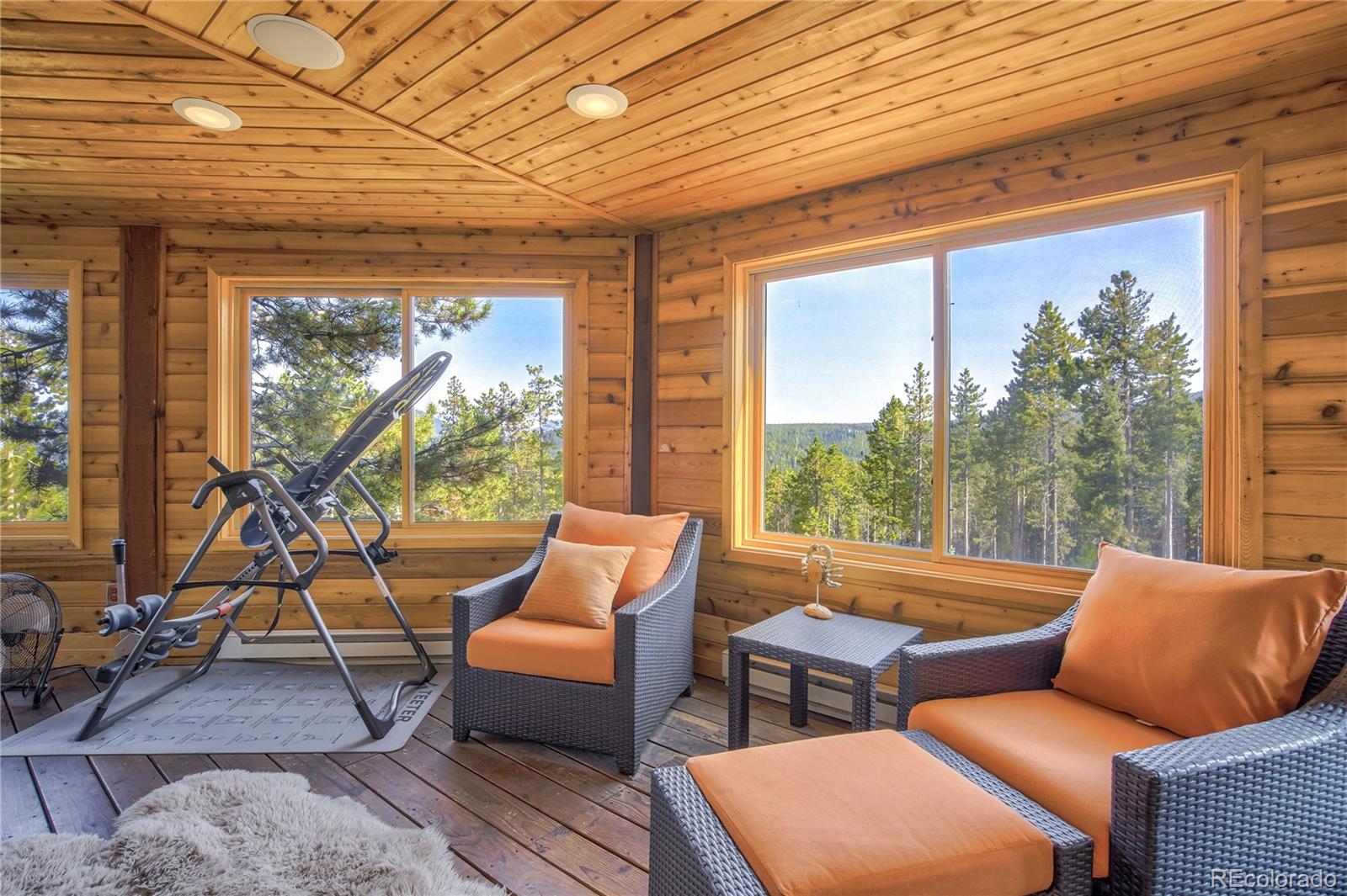 MLS Image #35 for 8641 s warhawk rd ,conifer, Colorado