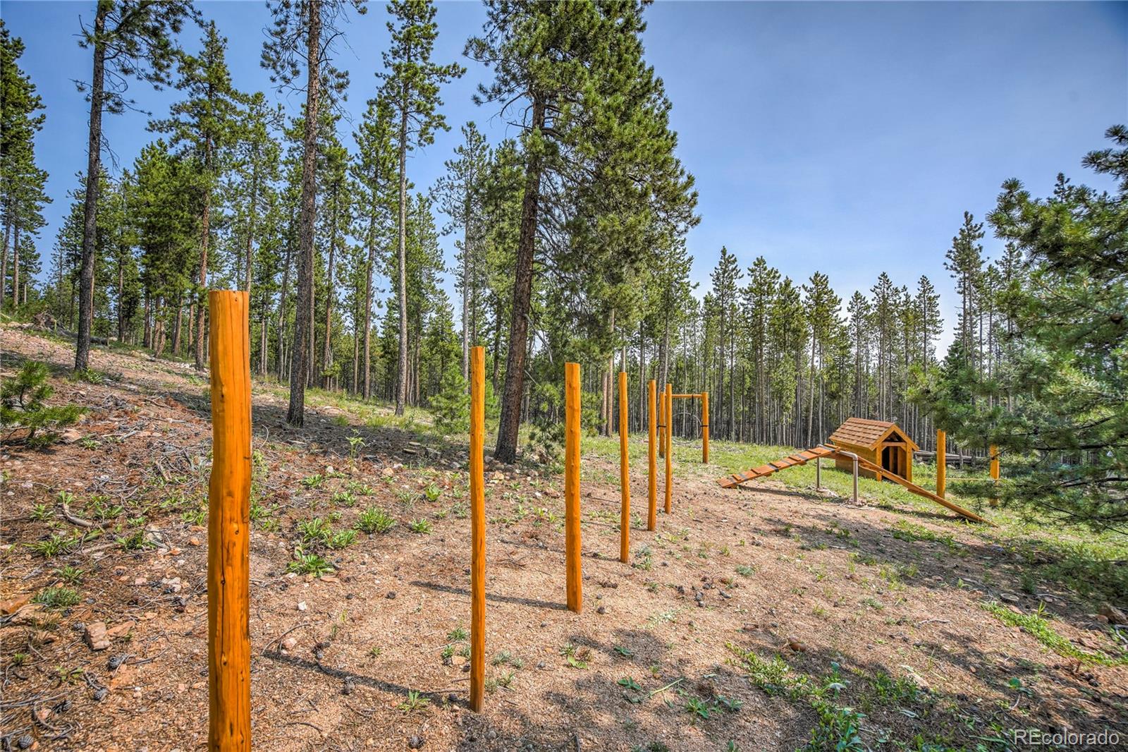 MLS Image #5 for 8641 s warhawk rd ,conifer, Colorado