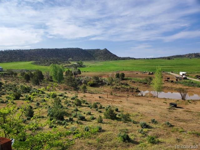 MLS Image #3 for 6526  county road 331 ,silt, Colorado