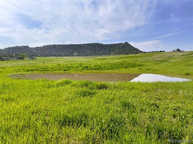 MLS Image #5 for 6526  county road 331 ,silt, Colorado