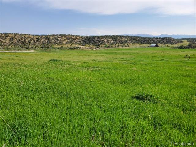 MLS Image #6 for 6526  county road 331 ,silt, Colorado